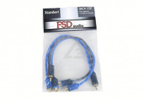 FSD audio SRCA-Y 2F  - 2
